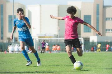 挪威3-1胜瑞典热身赛15场12胜场均3.47球｜开云官网首页（配图示意）